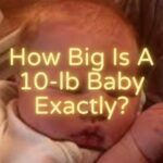 How Big Is a 10-lb Baby Exactly?