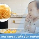 Is Sea Moss Safe for Babies?