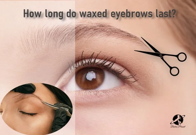 How Long Do Waxed Eyebrows Last? (A Complete Guideline)