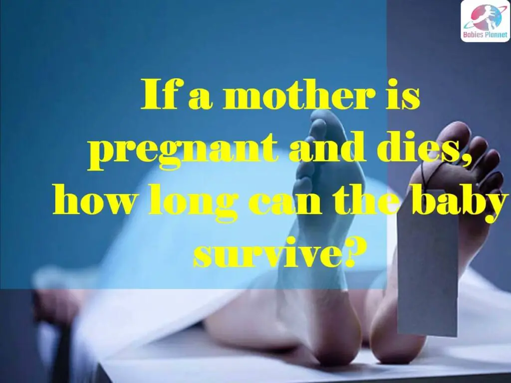 If A Mother Is Pregnant And Dies How Long Can The Baby Survive 