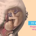 35 Weeks Pregnant – Baby Very Active: What It Means and What You Should Do!!!