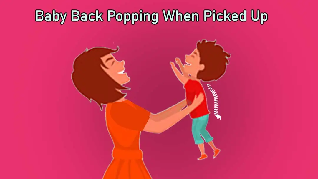 Baby Back Popping When Picked Up Should You Be Concerned?