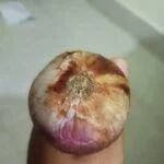 How To Do a Home Pregnancy Test with Onion and Urine?