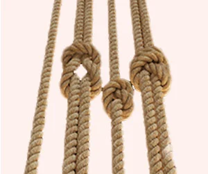 A bowline knot perfect for hanging a swing