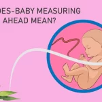 What Does Baby Measuring 2 Weeks Ahead Mean?