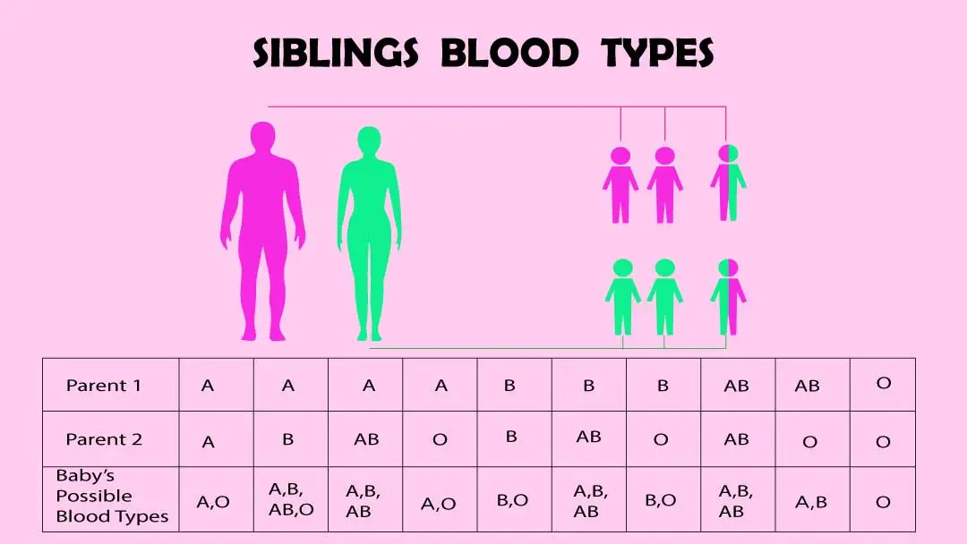 Do siblings have same blood type?