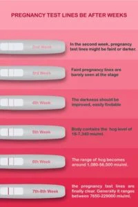 Dark Line On Pregnancy Test - Does It Mean High HCG?