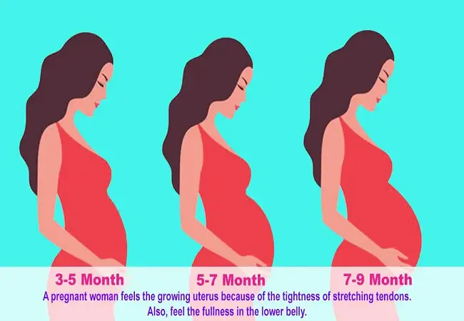 Difference Between Bloating And Pregnancy Bump