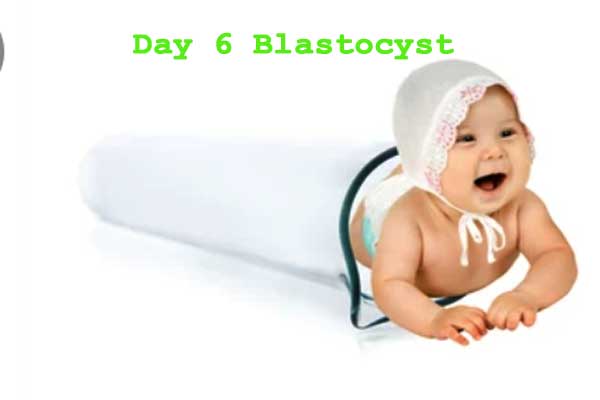 Day 6 Blastocyst Success Stories [Does IVF Really Work?]!!! - Babiesplannet