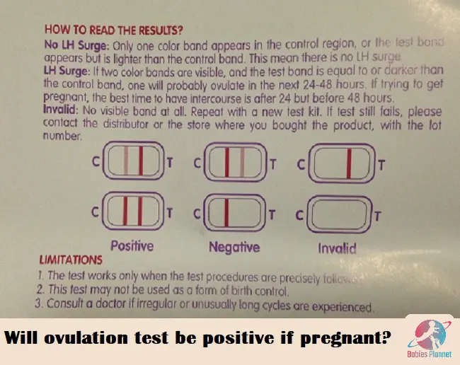 Will Ovulation Test Be Positive If Pregnant?