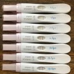 Bfp Line Progression