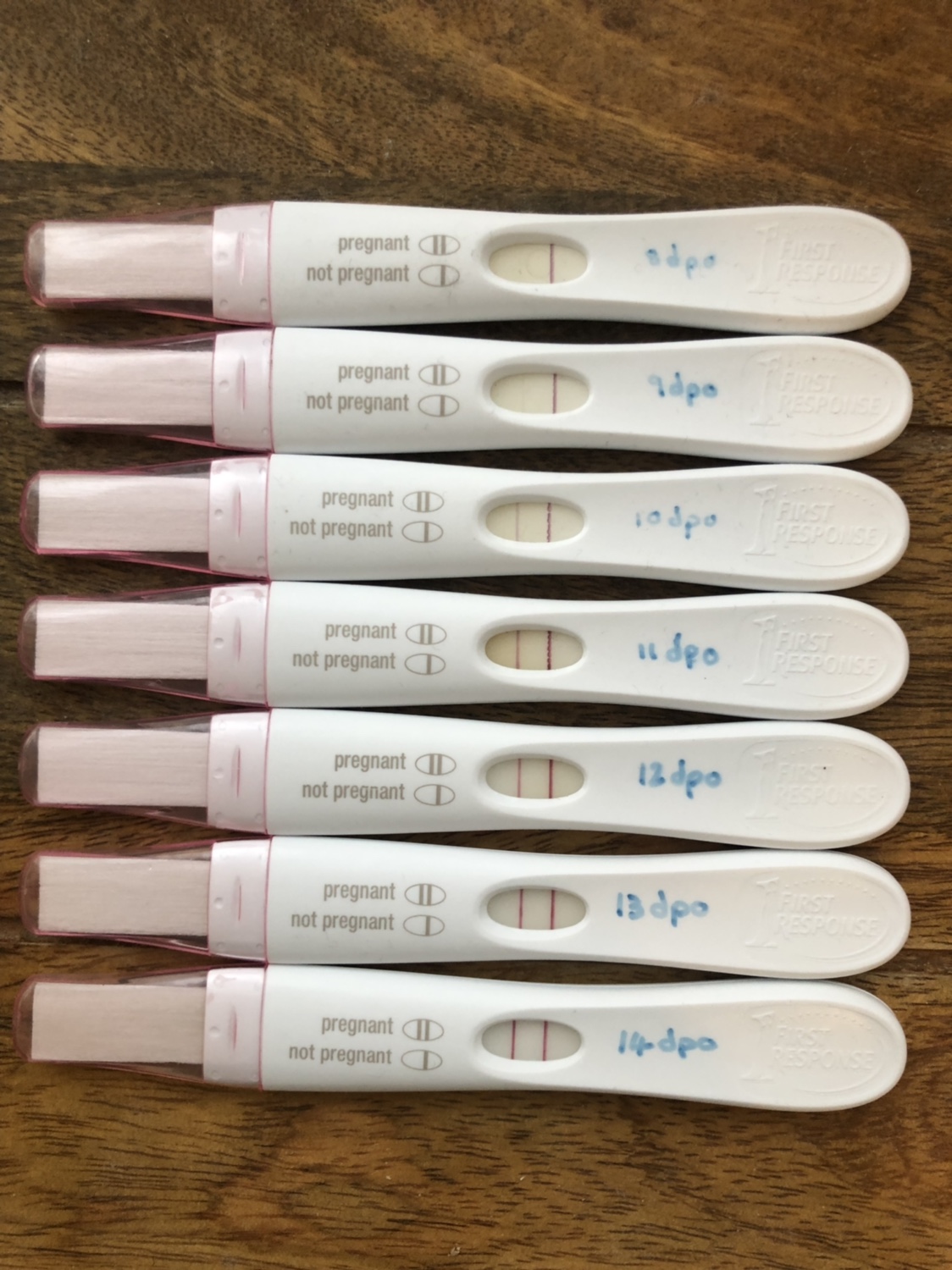 Bfp Line Progression