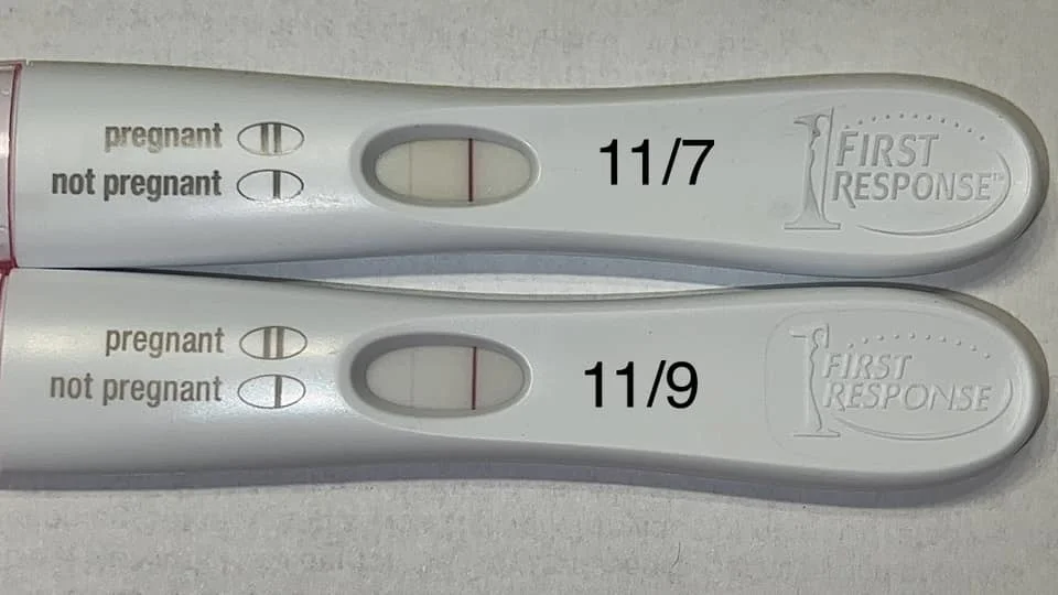 12 DPO BFN Success Stories?