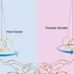 Wedding Ring Gender Test (Old Wives’ Tale)?