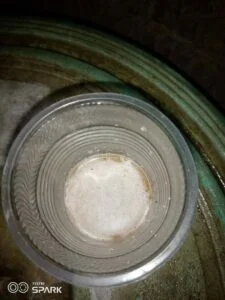 home pregnancy test with onion and urine