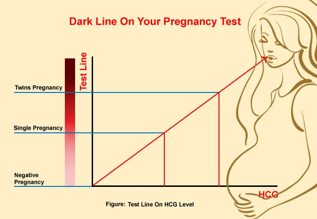 A graph chart that shows the difference single vs twin pregnancy