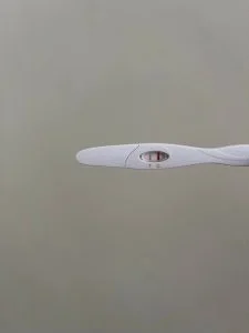 13 dpo