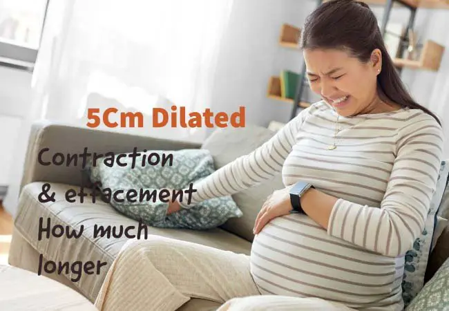 Pregnancy Dilation Babiesplannet