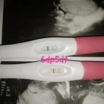 6dp5dt Pregnancy Test?