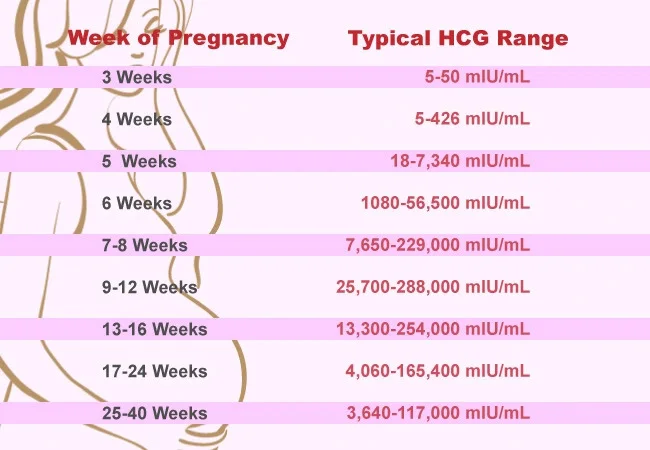 HCG level chart during pregnancy 