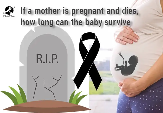 if-a-mother-is-pregnant-and-dies-how-long-can-the-baby-survive