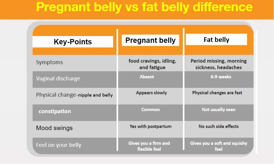 Pregnant belly vs fat belly difference